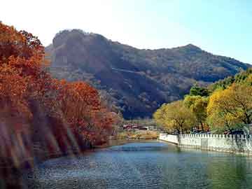 新澳天天开奖资料大全旅游团，蒂斯美